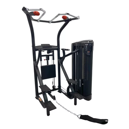 Inspire dual station chin up 470445761