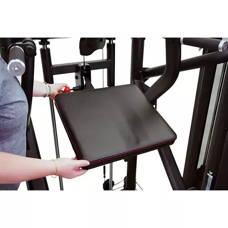 Inspire dual station chin up 470445749
