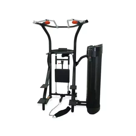 Inspire dual station chin up 470445751