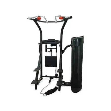 Inspire dual station chin up 470445758