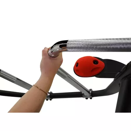 Inspire dual station chin up 470445760