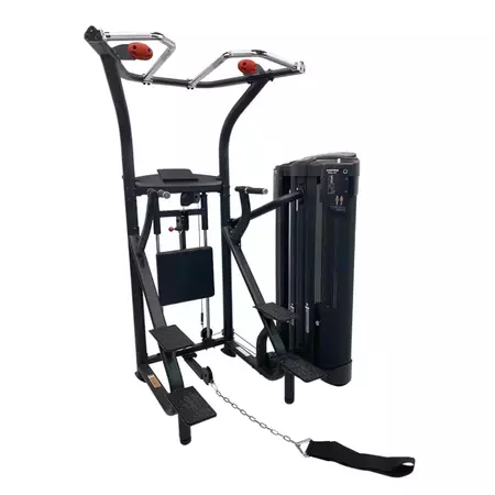 Inspire dual station chin up 470445761